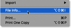 کادر محاوره ای File Info