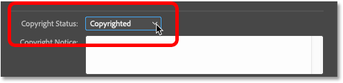 تغییر Copyright Status به Copyrighted.