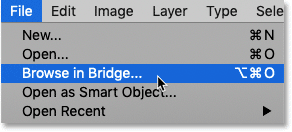 باز کردن Adobe Bridge