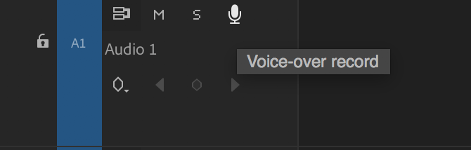 Voice-Over Record