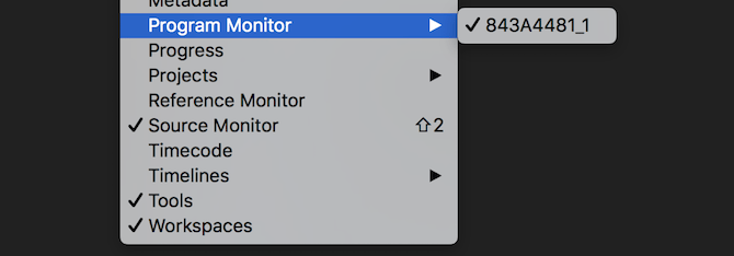 Program Monitor